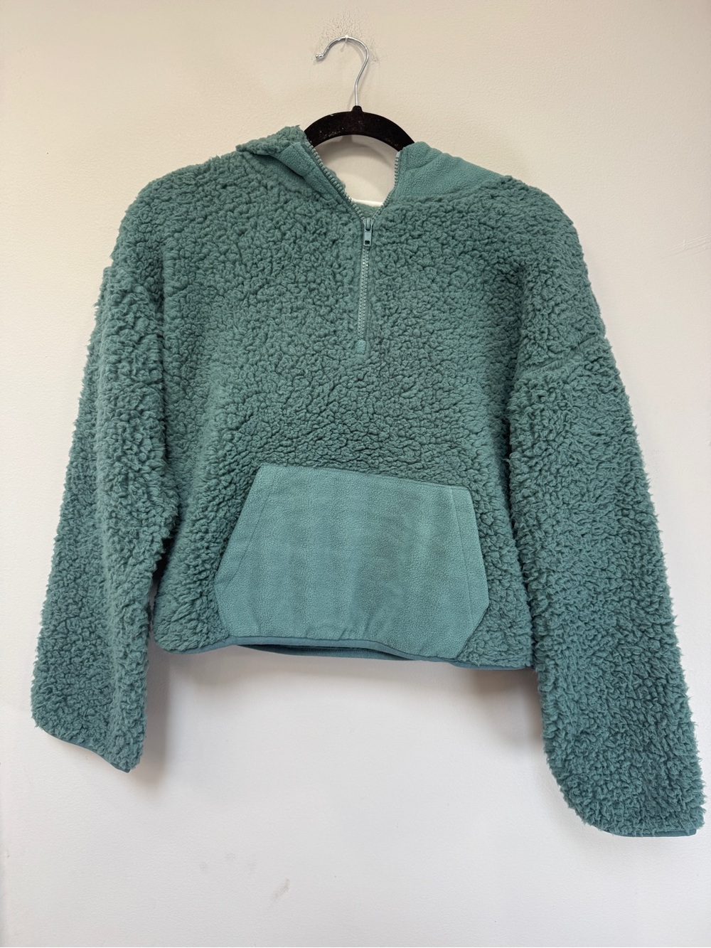 Pink Rose Plush Half-Zip Sherpa Hoodie in Teal